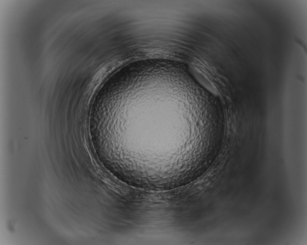 X0000101980241200807181131