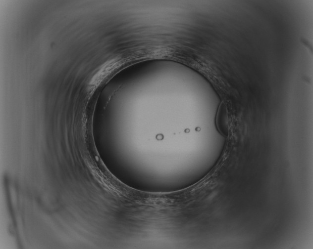 X0000101980242200807181131