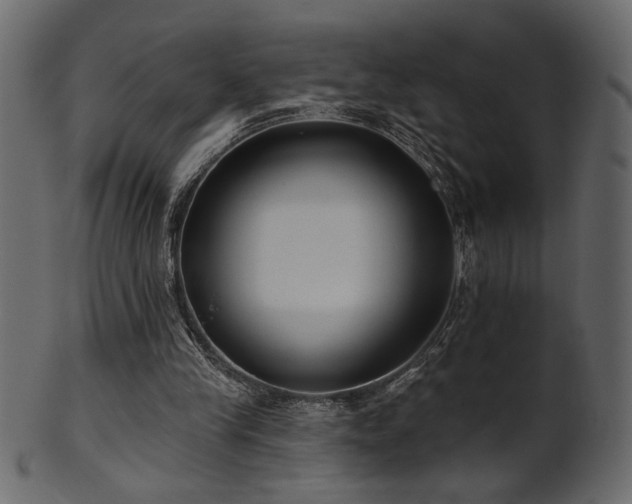 X0000101980245200807181131