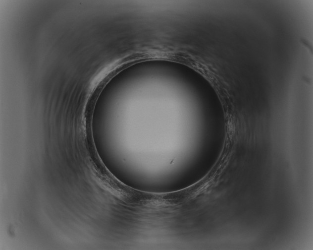 X0000101980246200807181131