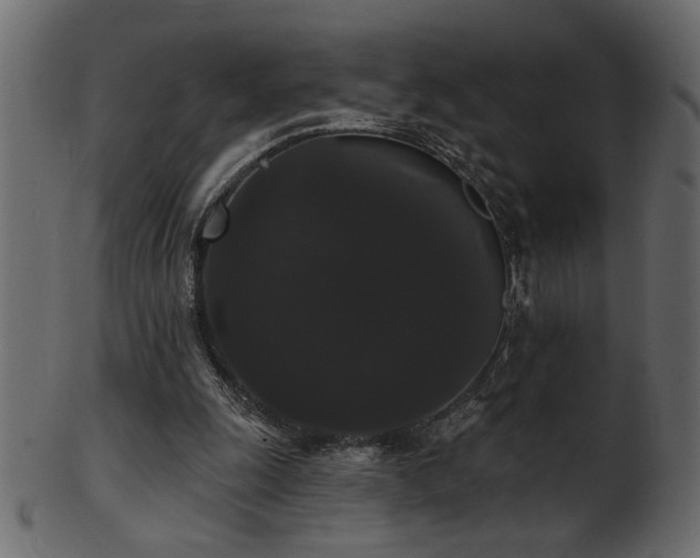 X0000101980247200807181131