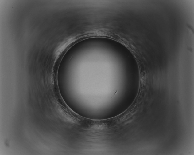 X0000101980248200807181131