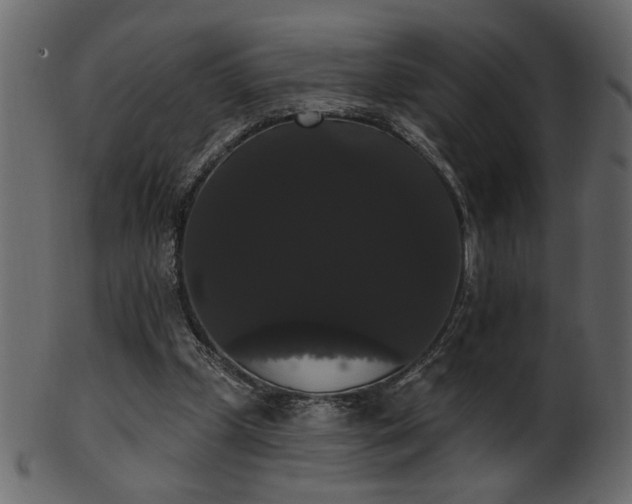 X0000101980249200807181131