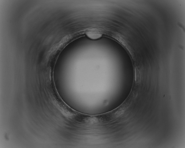 X0000101980253200807181131