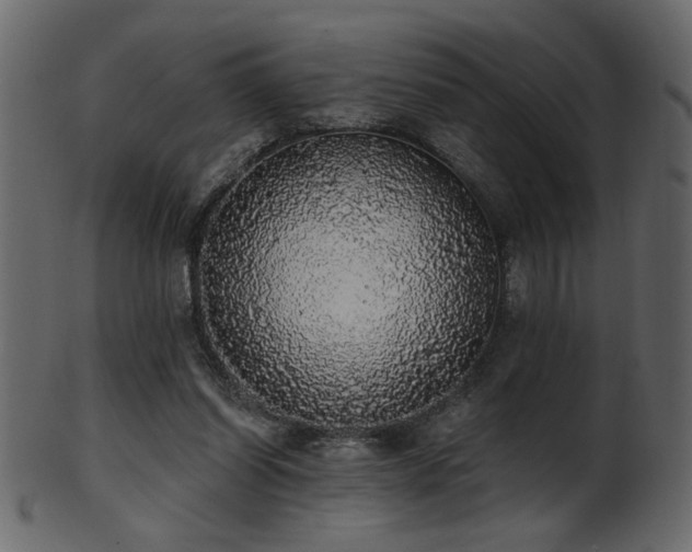 X0000101980254200807181131