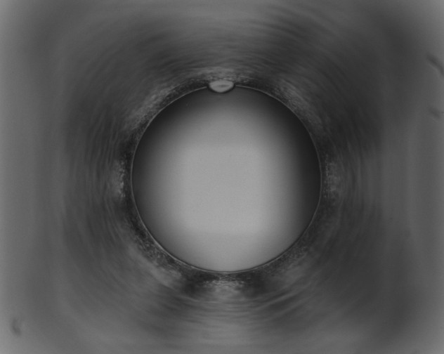 X0000101980255200807181131