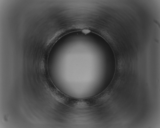 X0000101980256200807181131