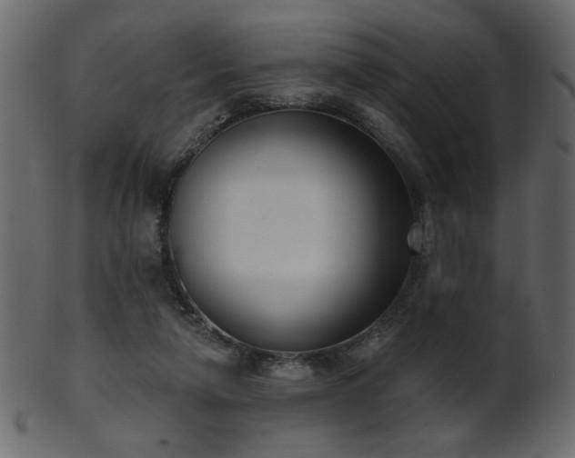 X0000101980258200807181131