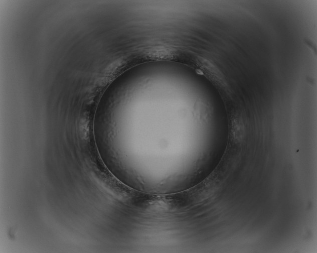 X0000101980259200807181131