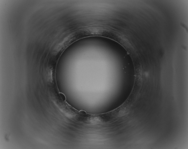 X0000101980262200807181131