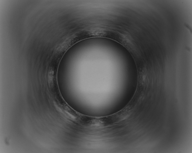 X0000101980263200807181131