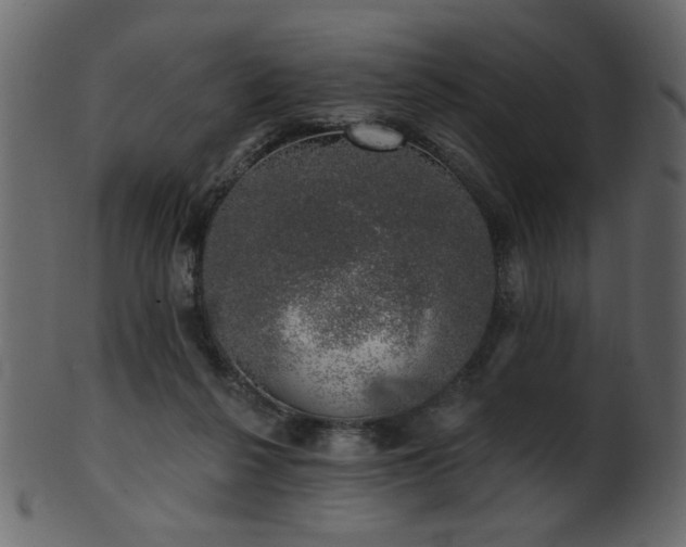 X0000101980264200807181131