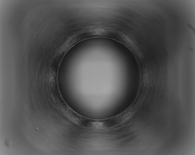 X0000101980265200807181131