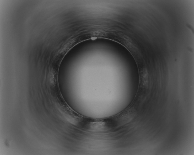 X0000101980266200807181131