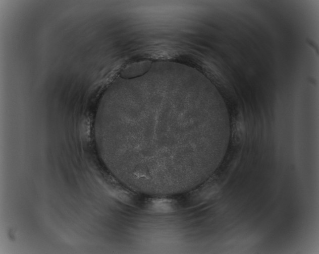 X0000101980268200807181132