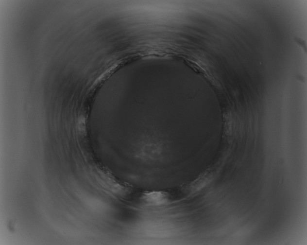 X0000101980269200807181132