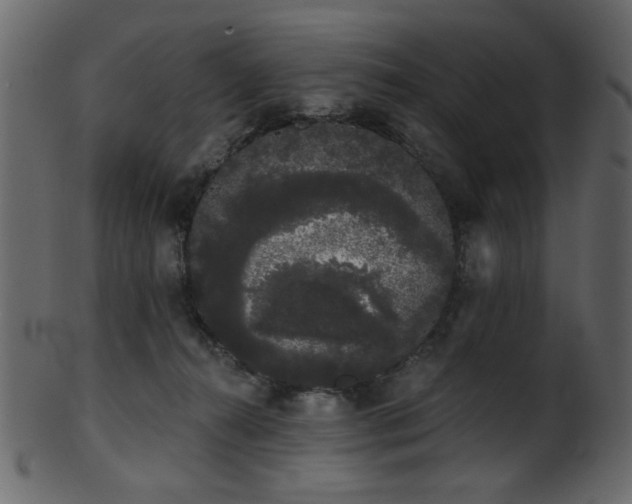 X0000101980272200807181132