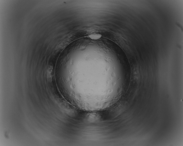 X0000101980275200807181132