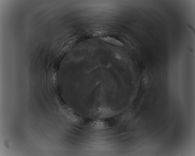 X0000101980276200807181132