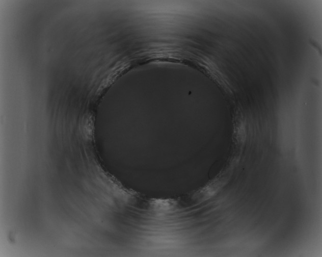 X0000101980277200807181132