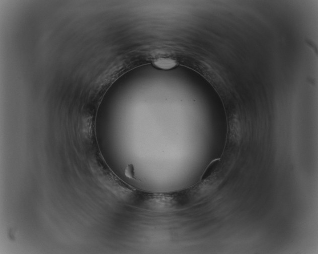 X0000101980278200807181132