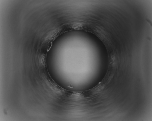 X0000101980280200807181132