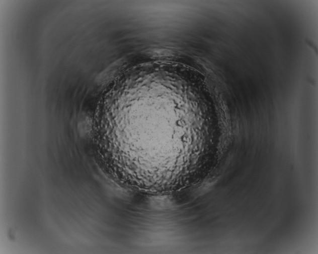 X0000101980281200807181132