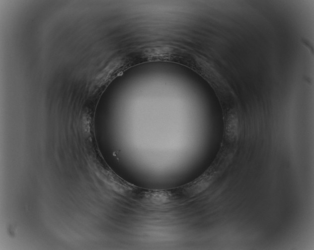 X0000101980282200807181132