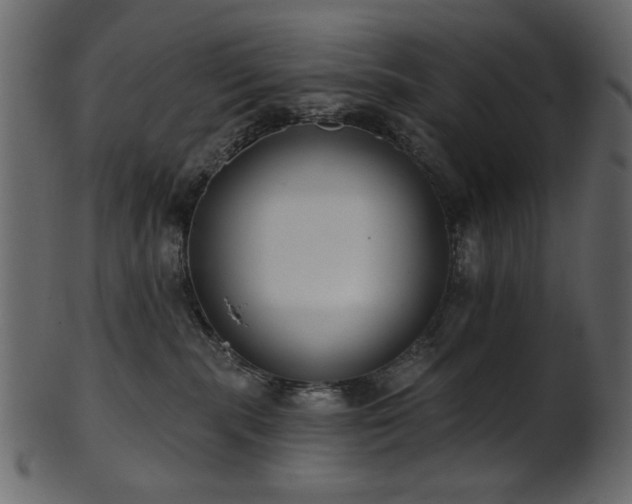 X0000101980283200807181132