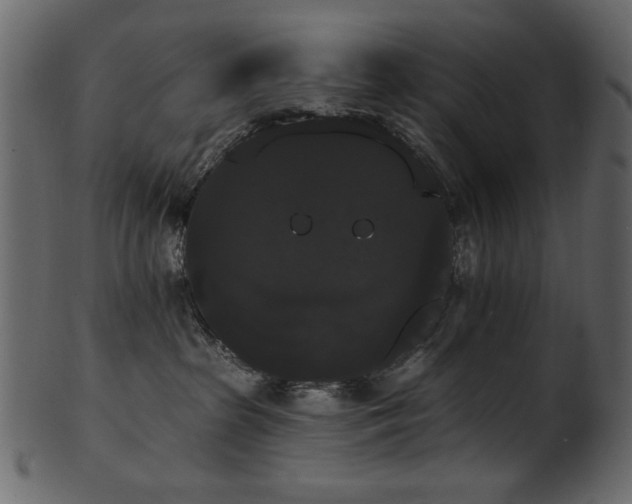 X0000101980285200807181132