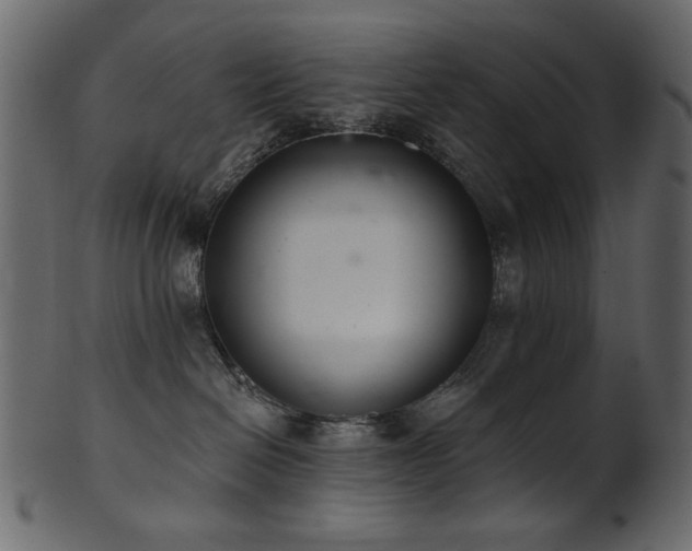 X0000101980286200807181132