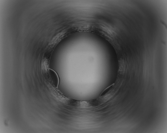 X0000101980287200807181132