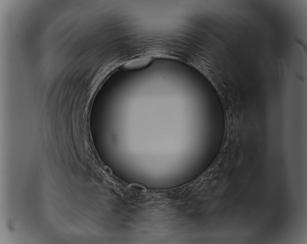 X0000101980289200807181131