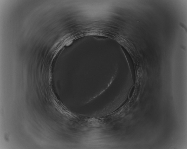 X0000101980290200807181131