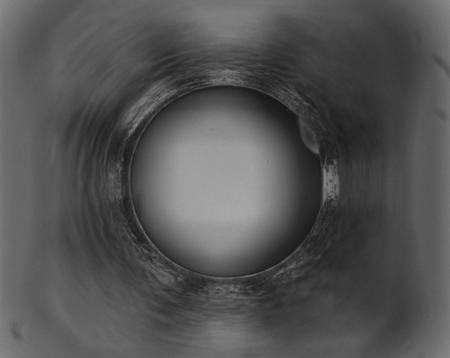 X0000101980291200807181131