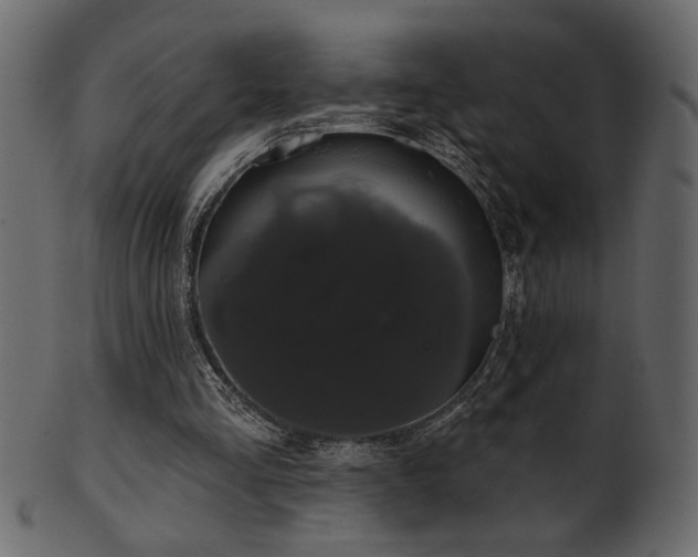 X0000101980293200807181131