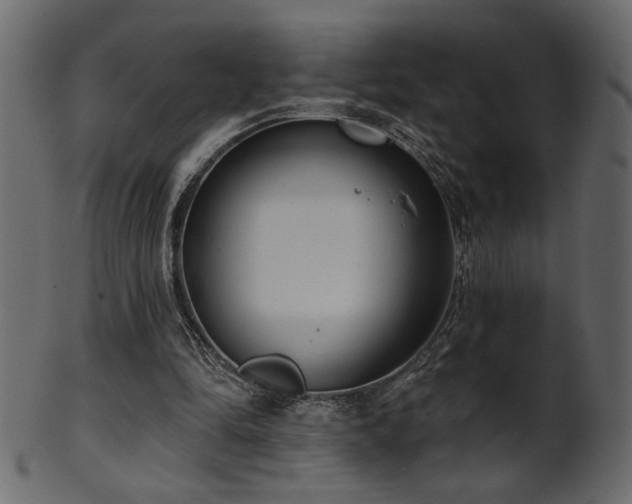 X0000101980294200807181131