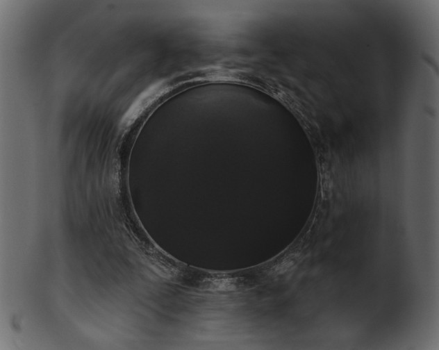 X0000101980295200807181131