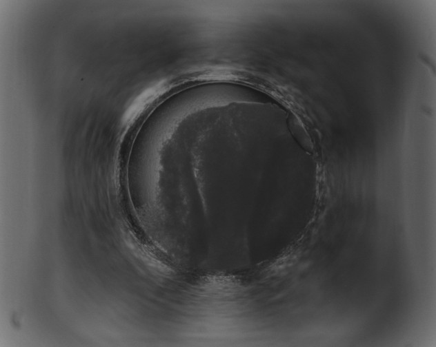 X0000101980296200807181131