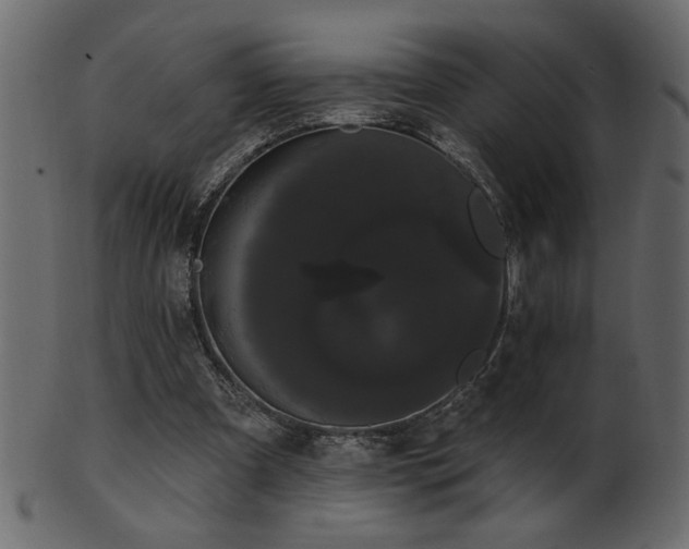 X0000101980297200807181131