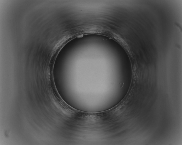 X0000101980298200807181131