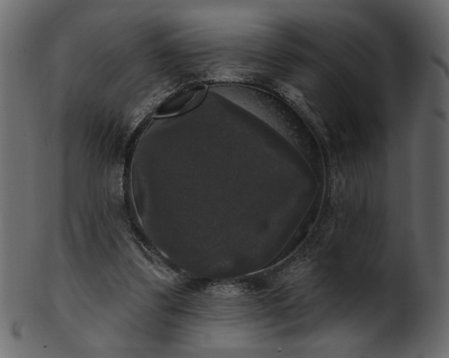 X0000101980299200807181131