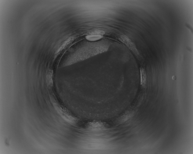 X0000101980300200807181131