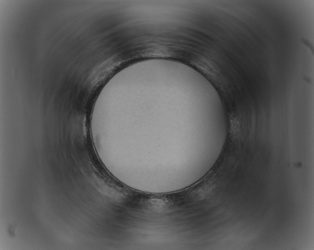 X0000101980302200807181131