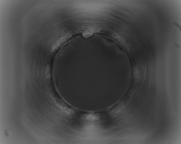 X0000101980303200807181131