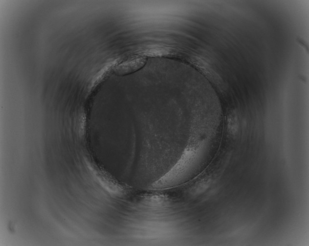 X0000101980304200807181131