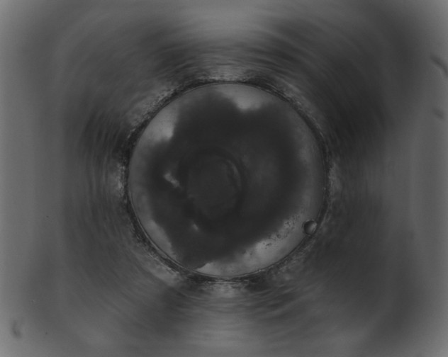 X0000101980305200807181131