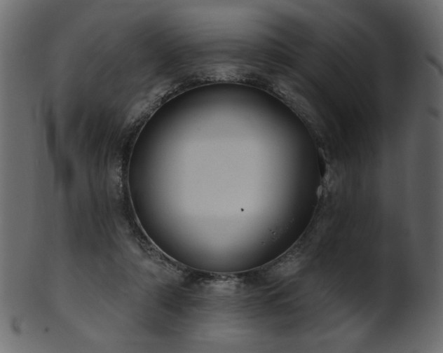 X0000101980306200807181131