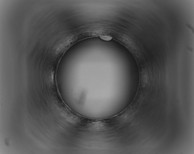 X0000101980310200807181131