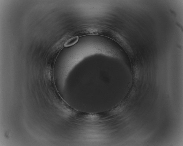 X0000101980313200807181131